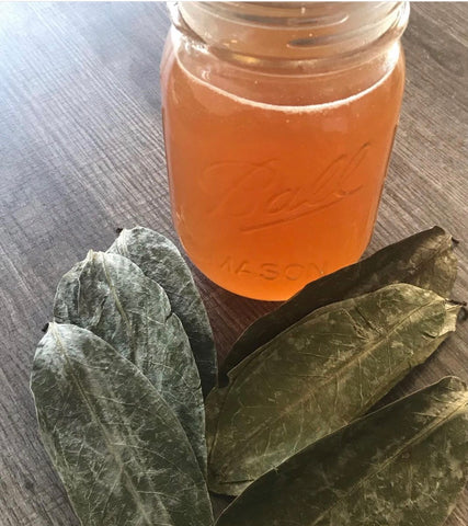 Soursop Tea Blend